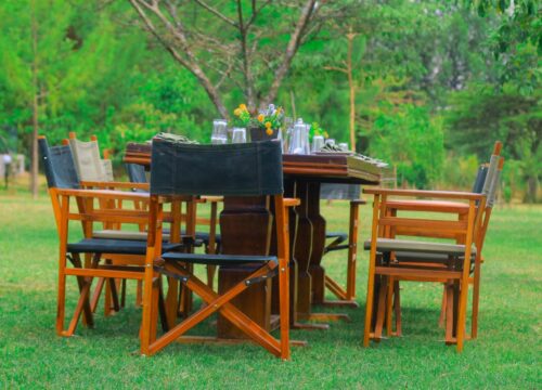 How a Safari Lodge Stay Brings You Closer to Nature