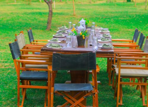 What to Expect During Your Stay at a Luxury Safari Lodge